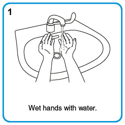 Wet hands with water.