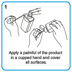 Apply a palmful of the product in a cupped hand and cover all surfaces.