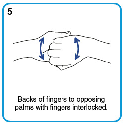 Back of fingers to opposing palms with fingers interlocked.