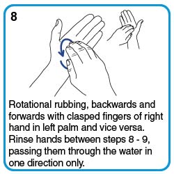 Rotational rubbing, backwards and forwards with clasped fingers of right hand in left palm and vice versa.  Rinse hands between steps 8-9 passing them through the water in one direction only.