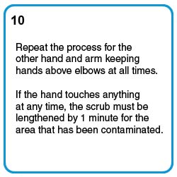 Repeat the process for the other hand and arm keeping hands above elbows at all times.  If the hand touches anything at any time, the scrub must be lengthened by 1 minute for the area that has been contaminated.