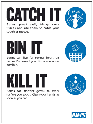 catch it bin it kill it